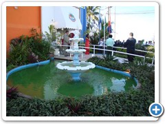 DSC08203